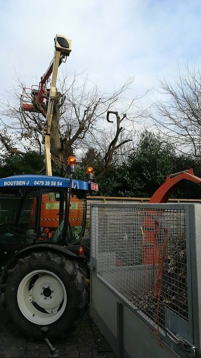 Bomen snoeien met hoogtewerker door Tuinwerken Boutsen in Bree