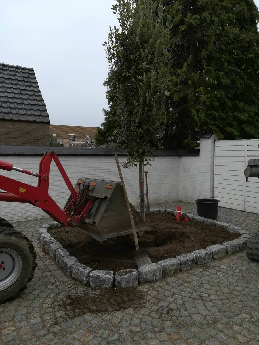 Tuinproject door Tuinwerken Boutsen in Bree