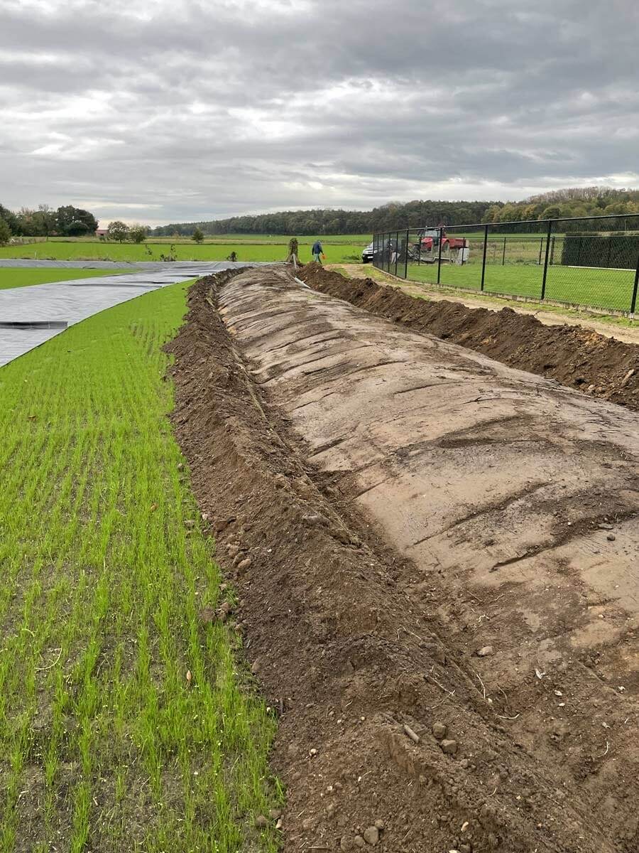 Tuinproject door Tuinwerken Boutsen in Bree