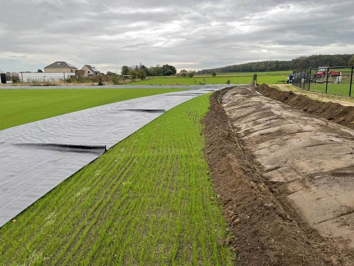 Tuinproject door Tuinwerken Boutsen in Bree
