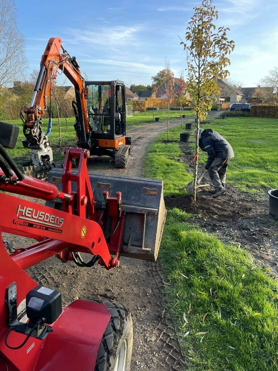 Tuinproject door Tuinwerken Boutsen in Bree