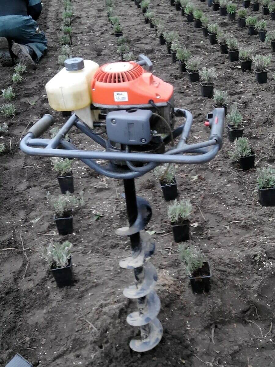 Tuinproject door Tuinwerken Boutsen in Bree