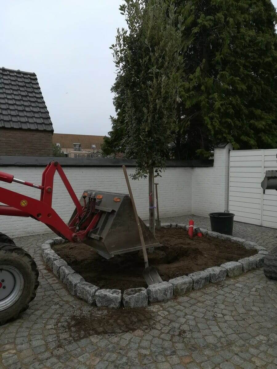 Tuinproject door Tuinwerken Boutsen in Bree