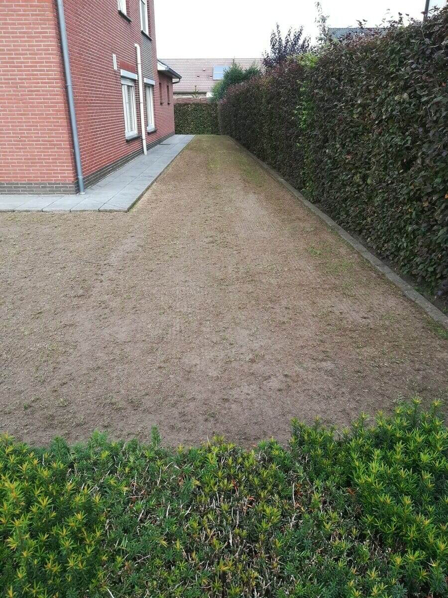 Tuinproject door Tuinwerken Boutsen in Bree