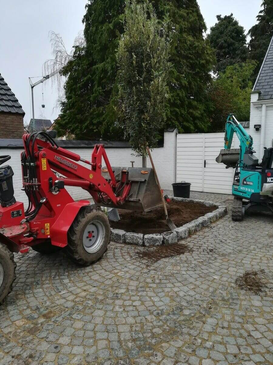Tuinproject door Tuinwerken Boutsen in Bree